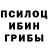 Псилоцибиновые грибы GOLDEN TEACHER Binte Syed