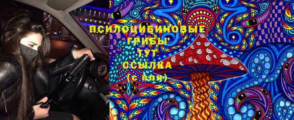 герыч Зеленодольск