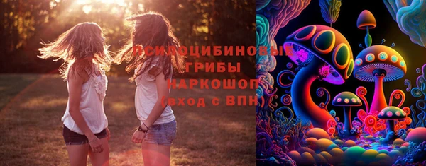 амф Зеленокумск