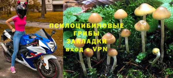 амф Зеленокумск